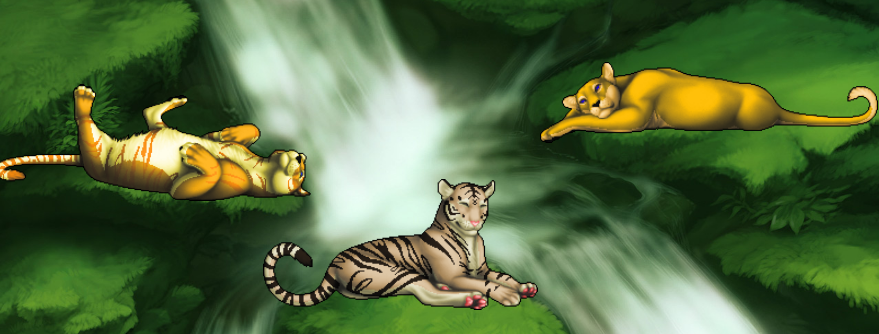 Big Cats