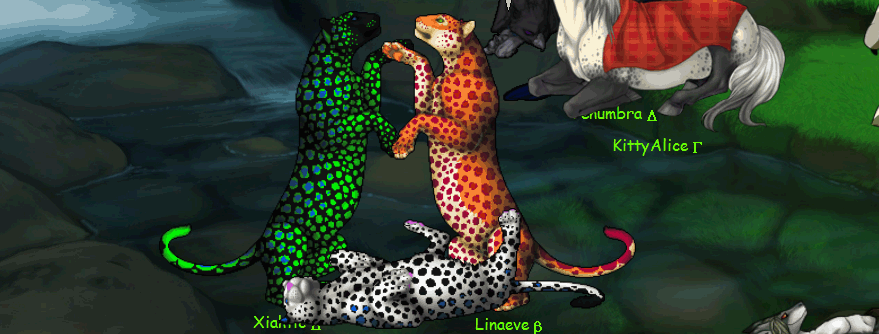 Spots!